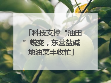 科技支撑“油田”蜕变，东营盐碱地油菜丰收忙